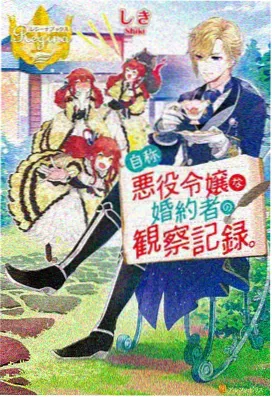 星尘信使动画海报