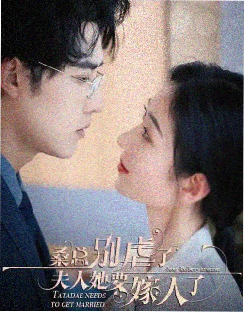 边境线谍战剧海报