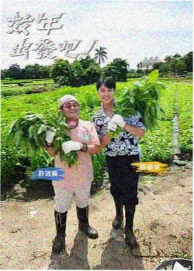厨房里的哲学家综艺海报